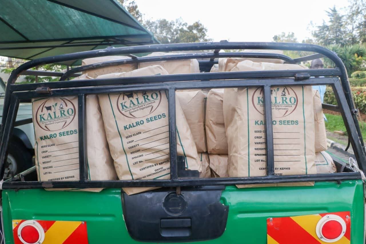 Bomet dispatches 4.5 tonnes of nutritious seeds to boost school feeding programme