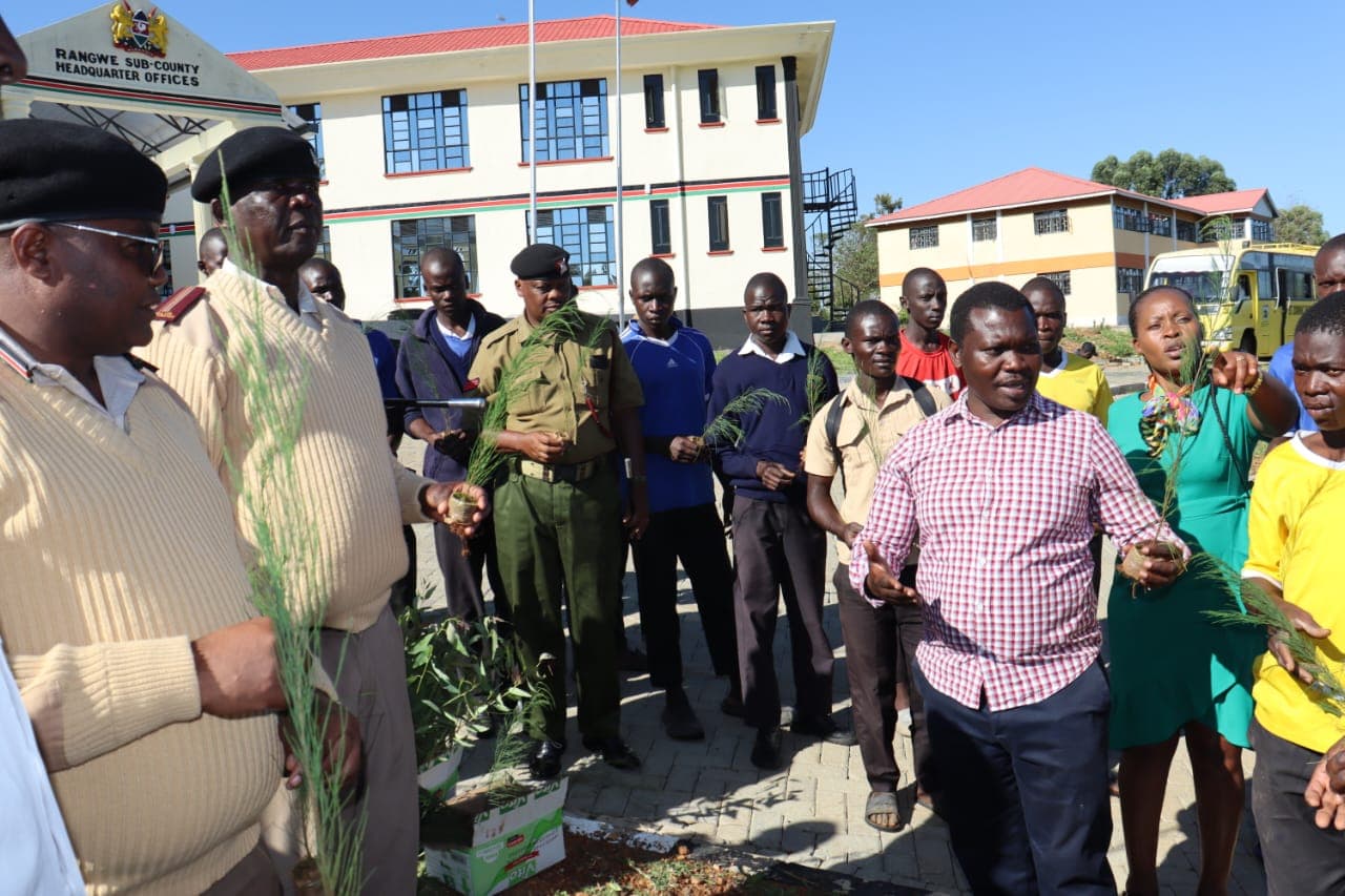Rongo Varsity, St. Dominic students plant over 150 trees during Mazingira Day