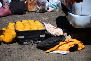 Police in Meru arrest two school girls, seize bhang worth Ksh 750,000 image 1