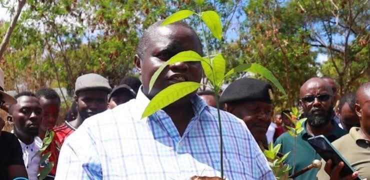 Tharaka Varsity VC honoured as national hero for impactful environmental leadership