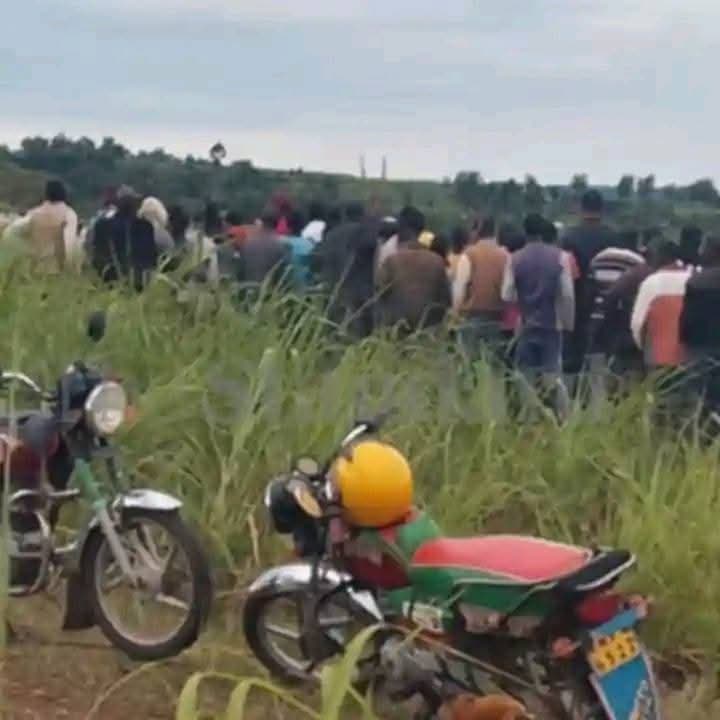 KNUT condemns brutal killing of grade 9 pupil in Narok