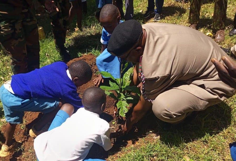 Nandi Schools advised to plant fruit trees to boost forest cover, diet
