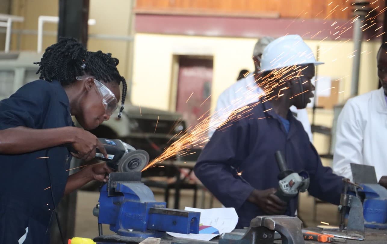 TVET and alternative careers matter: redefining success beyond university