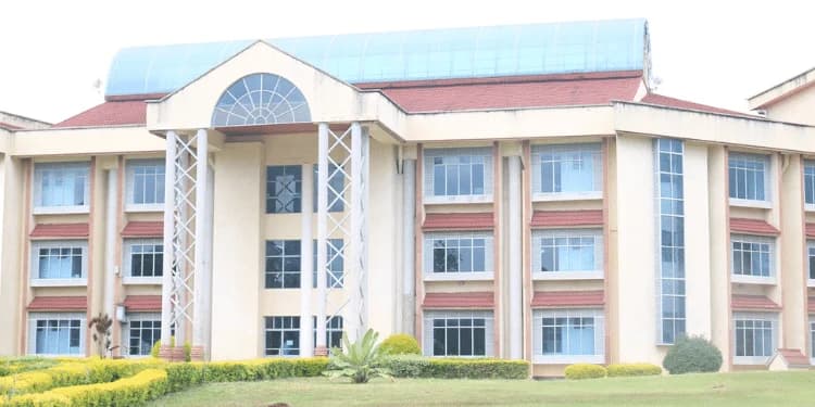 MMUST researchers secure Ksh489 million global grant to combat Antimicrobial resistance