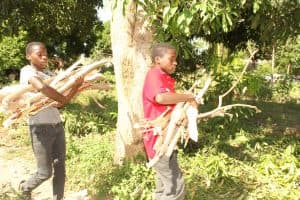 Kwale bright Grade 10 twins stuck at home as poverty shuts the school door image 1