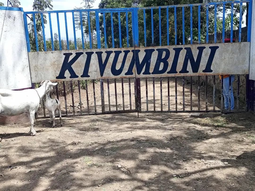 Kivumbini Secondary faces closure after zero Grade 10 enrollment