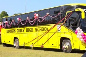 Bus