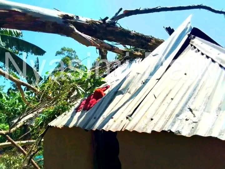 School children spend night in cold after family houses destroyed by strong winds in Kisii
