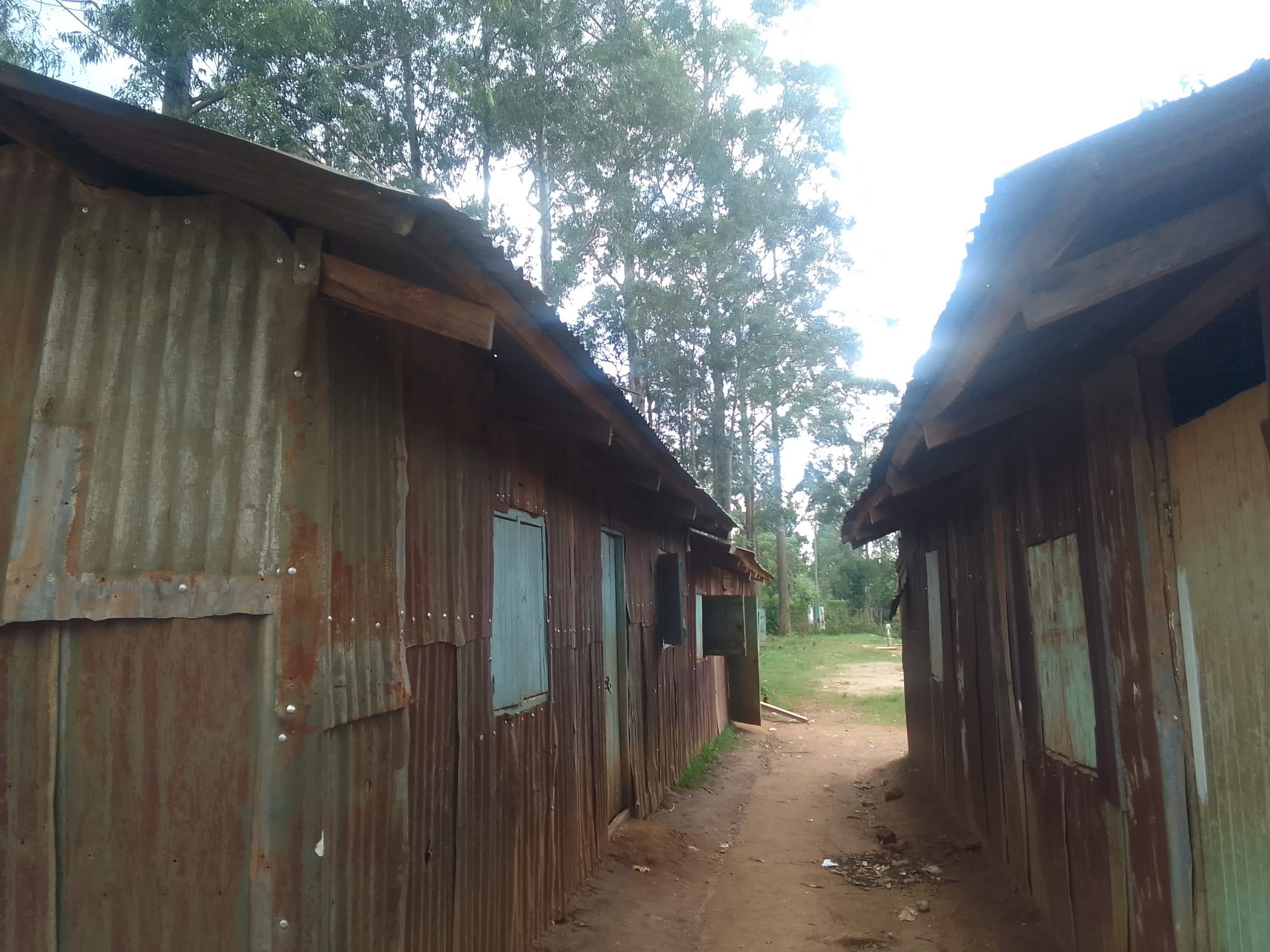 Kakamega’s Shidodo primary turns to makeshift structures after storey building stalled