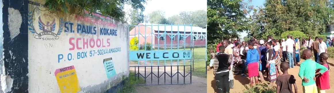 Shock as thugs attack school guard, steal cow in night raid in Busia