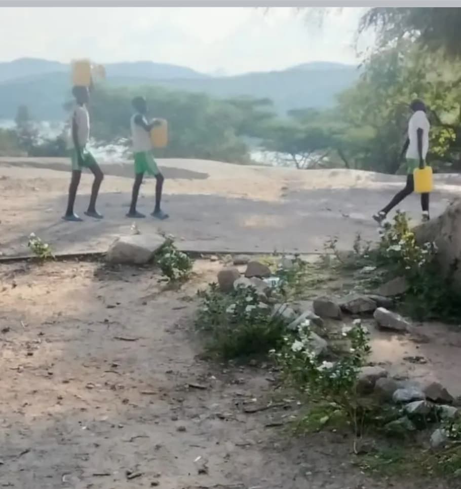Kerio Valley pupils risk lives fetching water from crocodile-infested dam