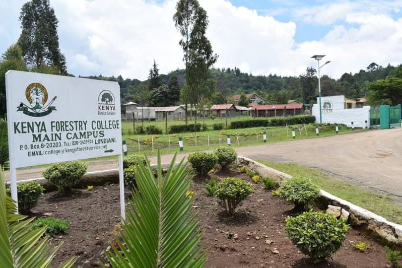 Kenya Forestry College opens applications for 2026/2027 training programmes