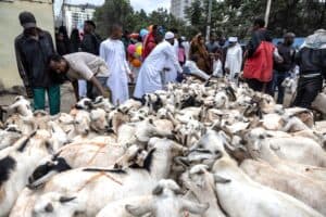 Why Eid al-Adha continues to shape Muslim faith worldwide image 1