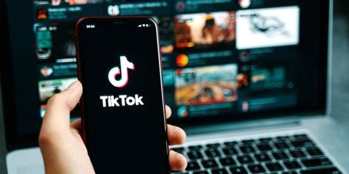 From TikTok to the classroom: Why social media content deserves a place in literature studies