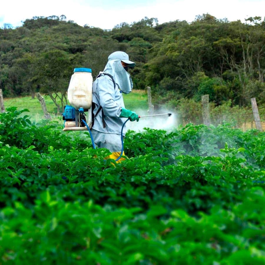 Ban use of toxic chemicals in agriculture, environmentalist tells Govt