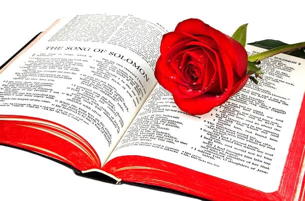 What public servants should learn from Proverbs 24:27 about retirement