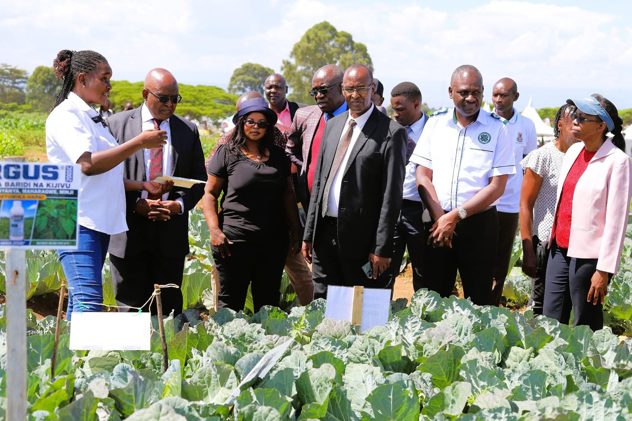 Egerton varsity revives 4K Clubs to promote sustainable farming among Nakuru learners