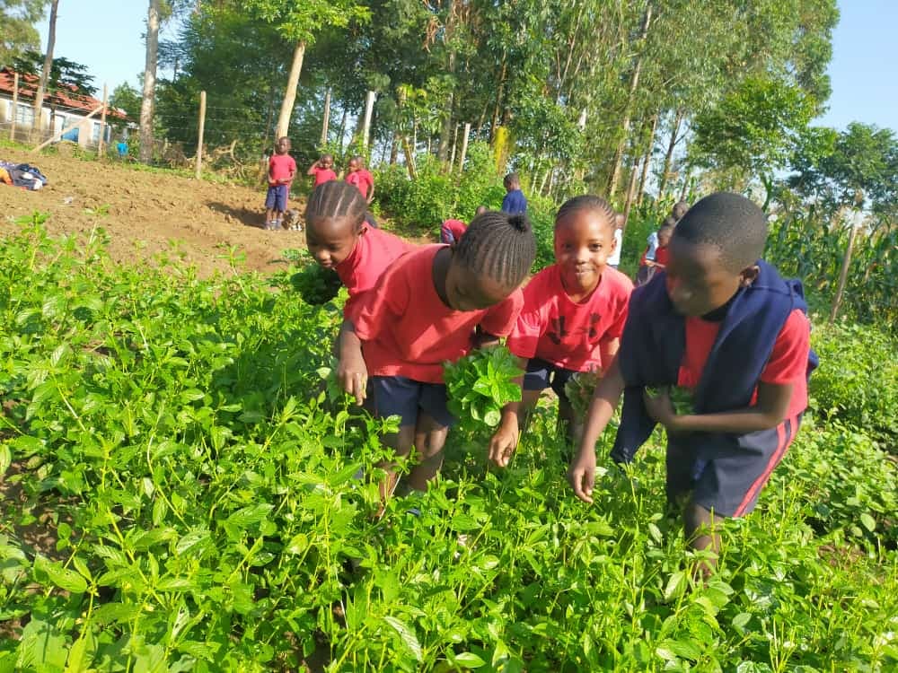 Hellen Ajiambo Mukanda: The woman transforming learning conditions in Busia image 3