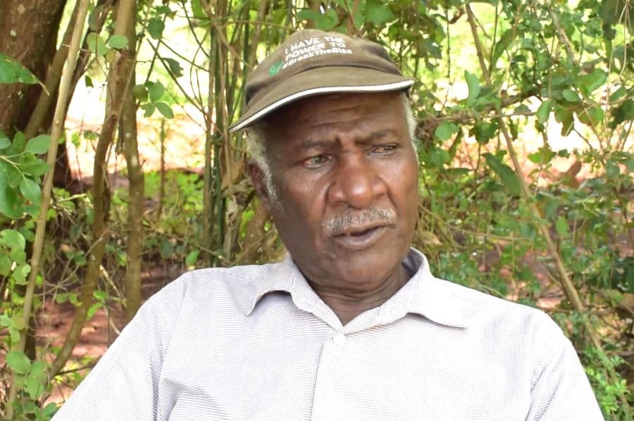 Experts call for practical agriculture in schools to secure Kenya’s food future