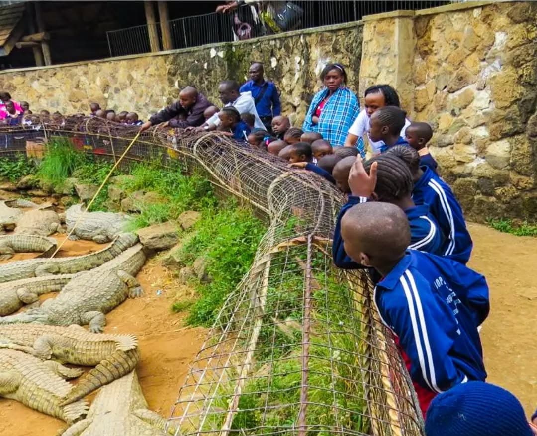 The importance of educational tours to learners as schools break for holidays