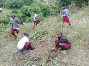 Teacher leads school tree-planting drive to restore rainfall in drought-hit North Rift image 1