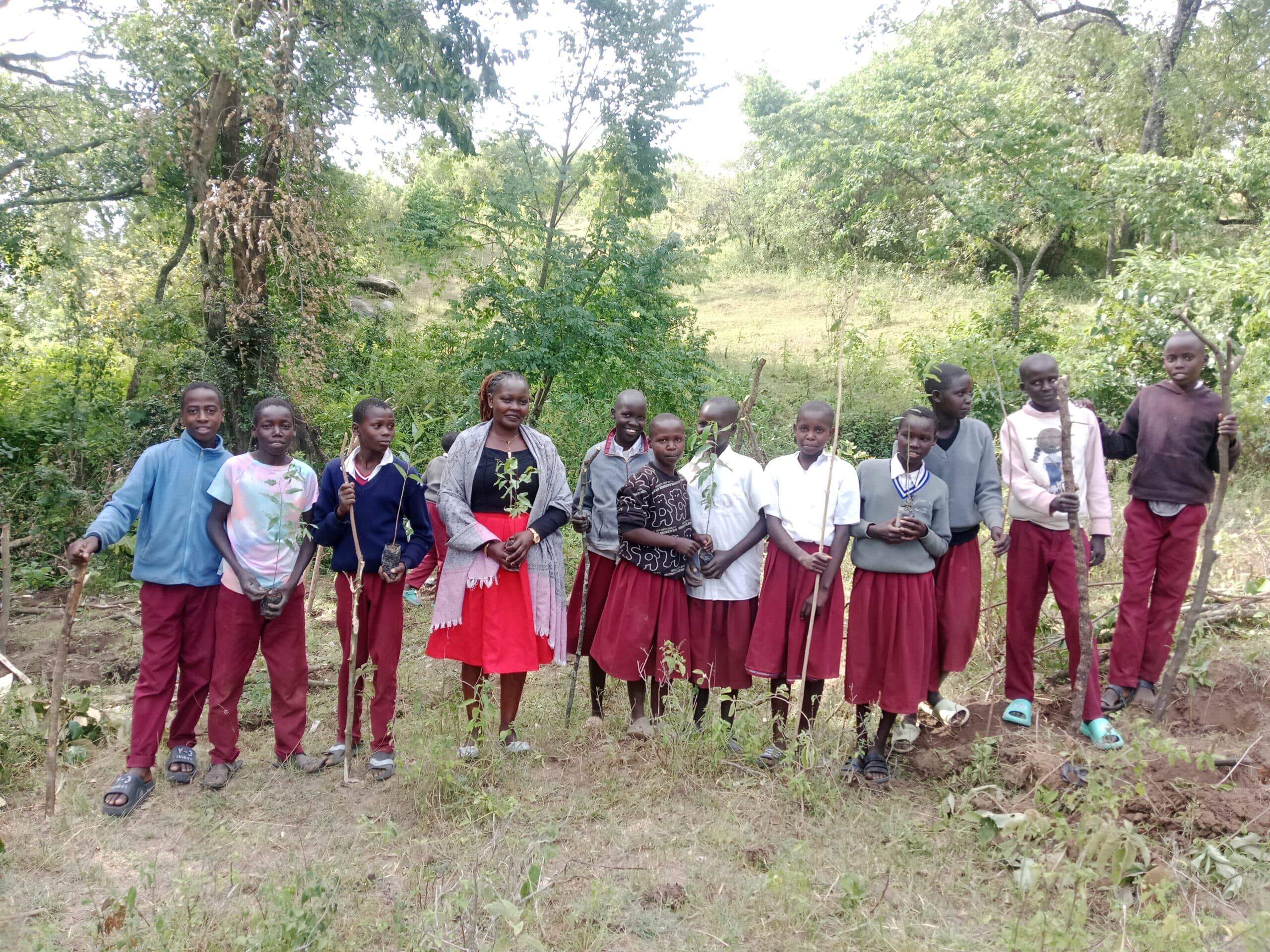 Teacher leads school tree-planting drive to restore rainfall in drought-hit North Rift