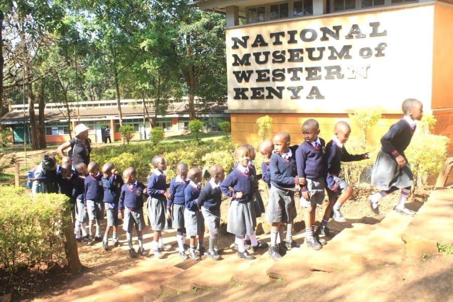 Educational trips must go beyond recreation to advance CBE and learner safety