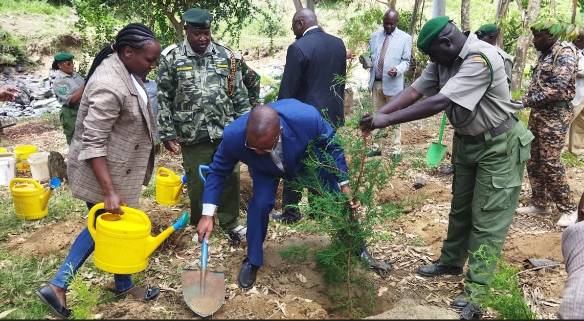 PS Yiapan calls on Kenyans to plant trees in former schools to boost forest cover