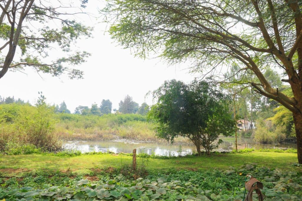 Runda school land row raises alarm over protection of public education land image 1