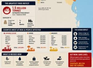 Food security pressure: Why Kenyan schools must reconsider their 2027 budgets image 1