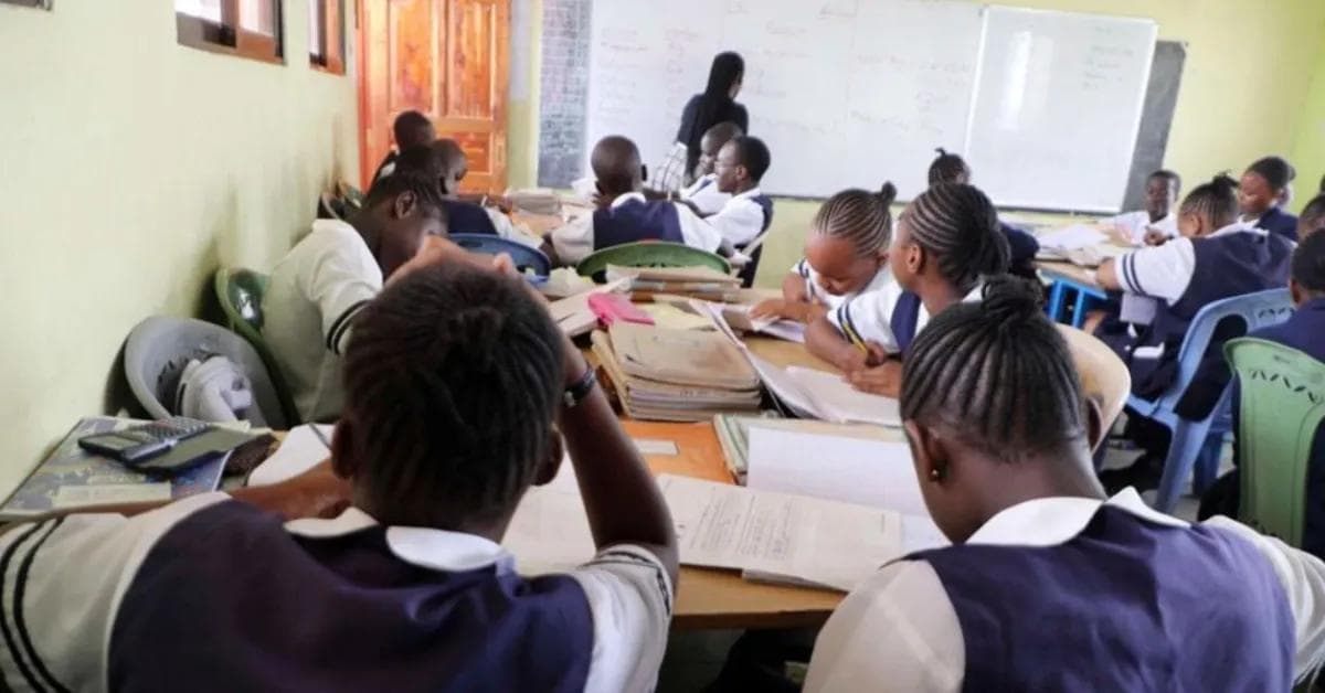 Grade 10 placement: What parents and learners must know as 2026 Senior School selection opens