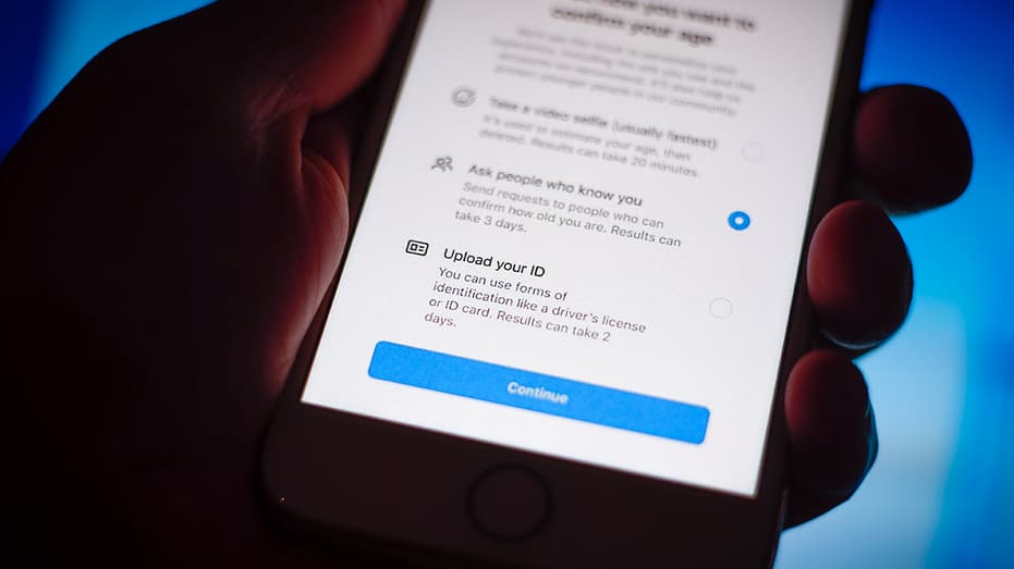 America tightens the net: Underage users face new barriers to social media, adult websites