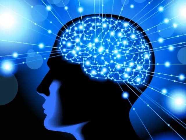 What neuroscience really tells us about the brain and learning Arabic