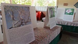 Kwale schoolchildren turn cameras into tools for environmental conservation image 2