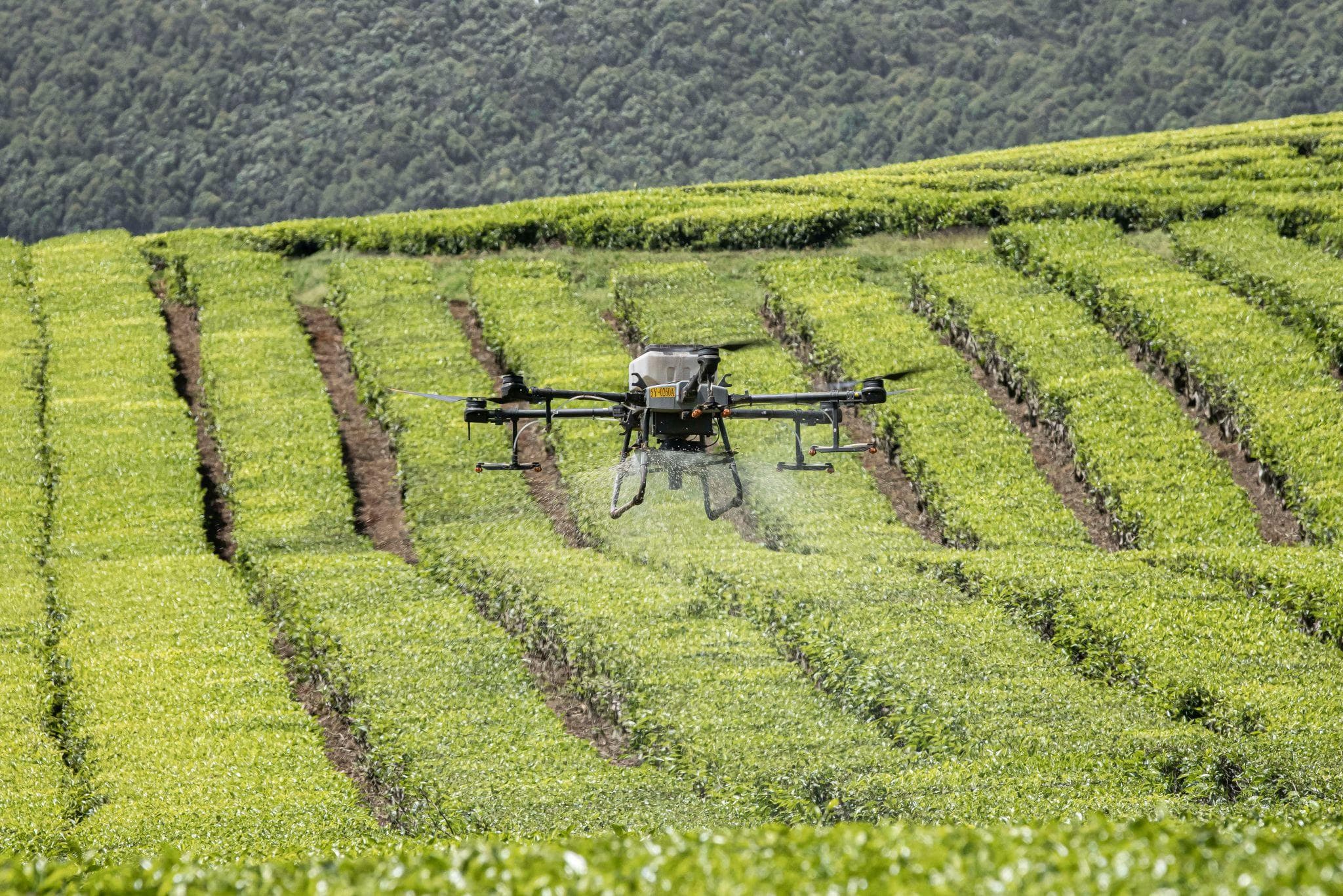 Nandi Hills parents seek probe into respiratory complaints during aerial fertilizer application