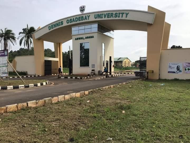Nigerian twins: How an unexpected course switch shaped our university journey