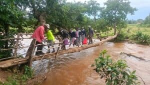 Parents raise alarm as dilapidated bridge puts school children at risk image 1