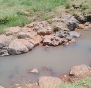 Kisii: Form Four student at Riokindo Boys feared dead after drowning in River Nyakwana image 1