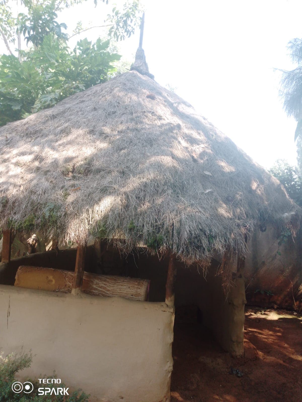 The hidden wisdom of the Kisii traditional house in modern resilient architecture