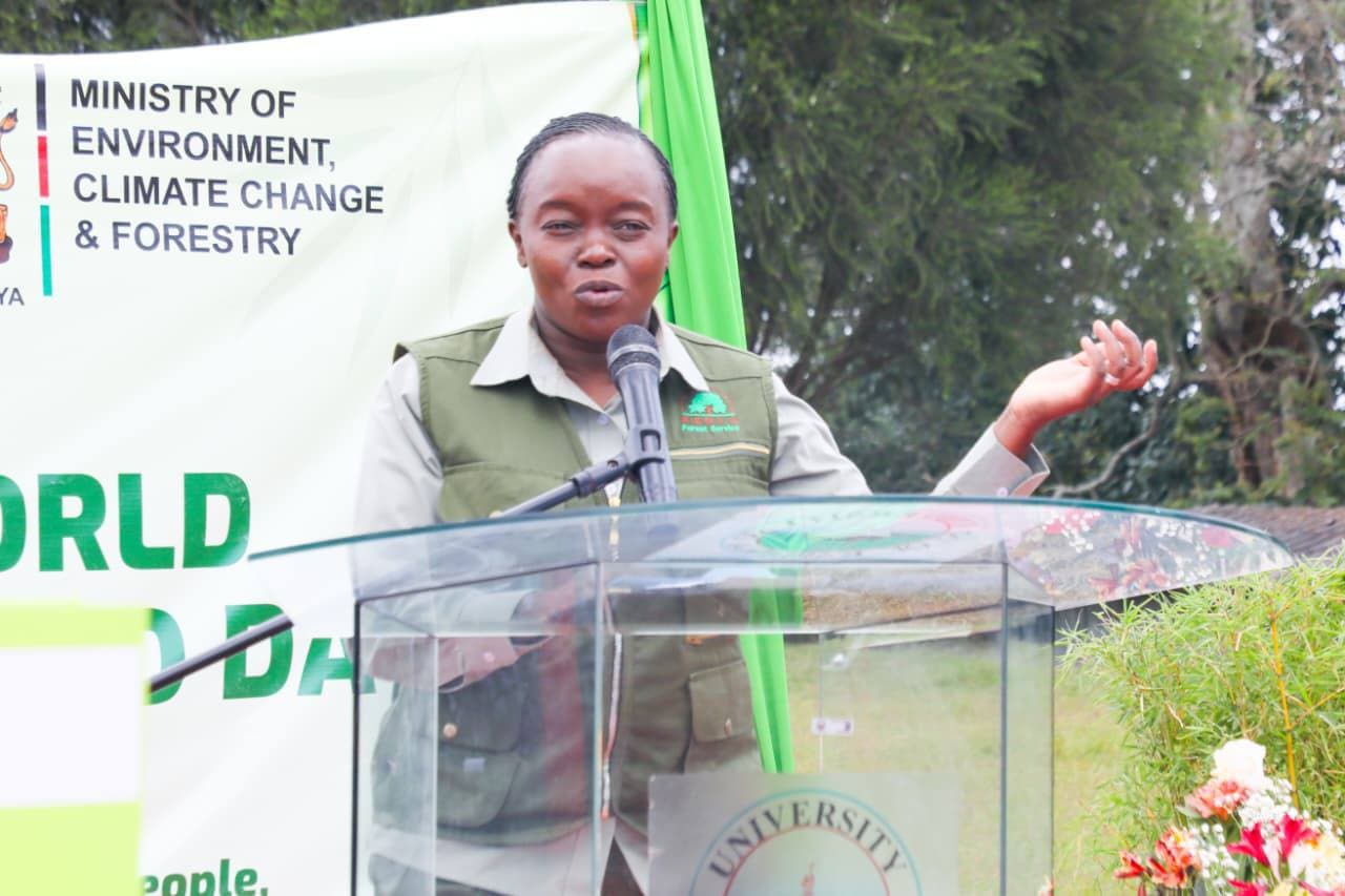 CS Barasa urges universities to prioritise bamboo research to unlock its potential