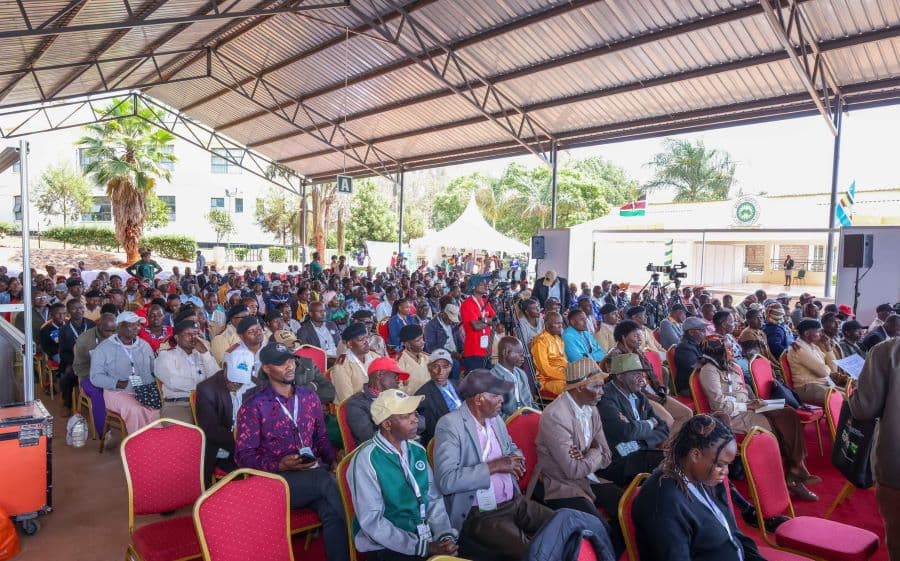 Kenyans urged to embrace bamboo growing as stakeholders seek partnerships to unlock economic potential