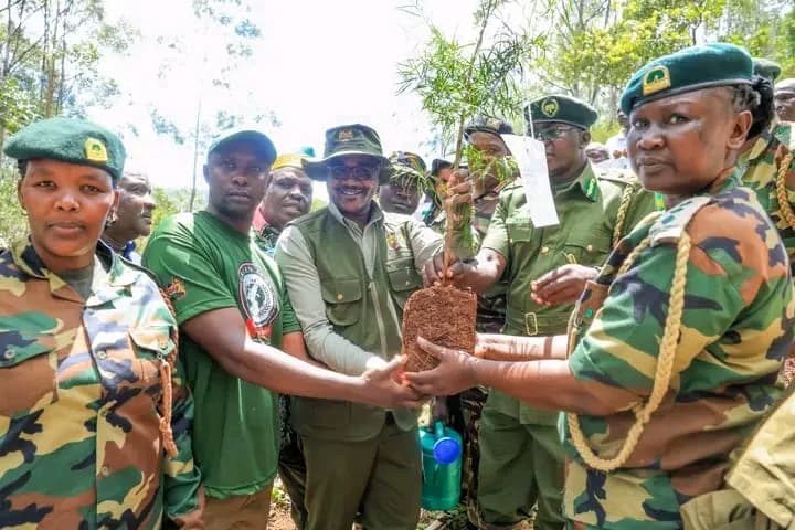 CS Ogamba assures candidates of exam readiness, leads Mazingira Day tree planting in Kisii