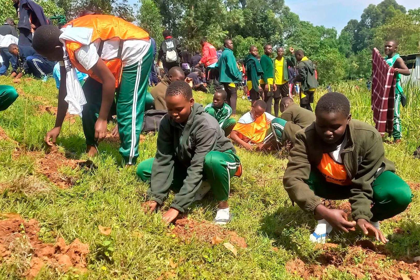 Kisii residents urged to turn up for Mazingira Day tree planting