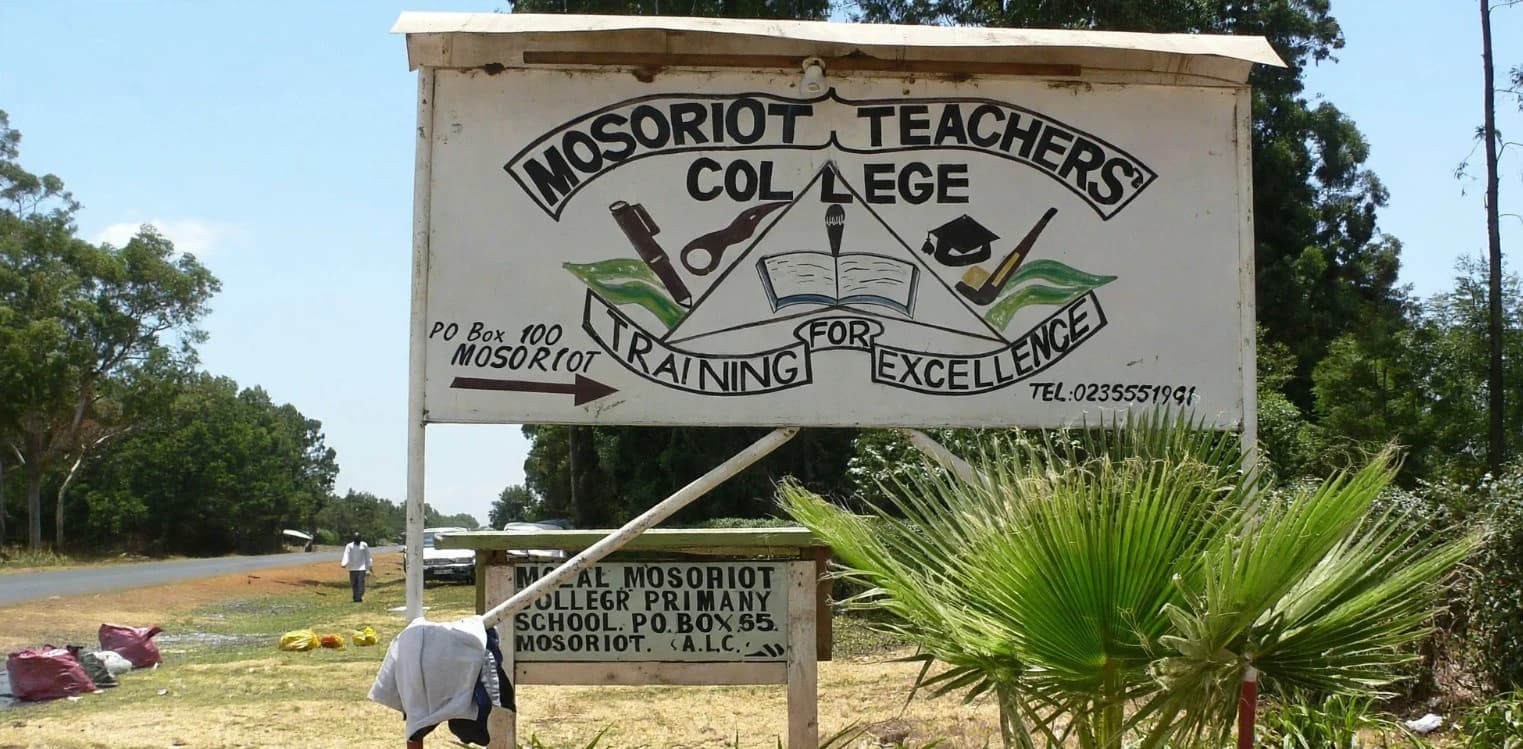 Revealed: Top 10 TTCs with the highest referrals in the 2026 KNEC results