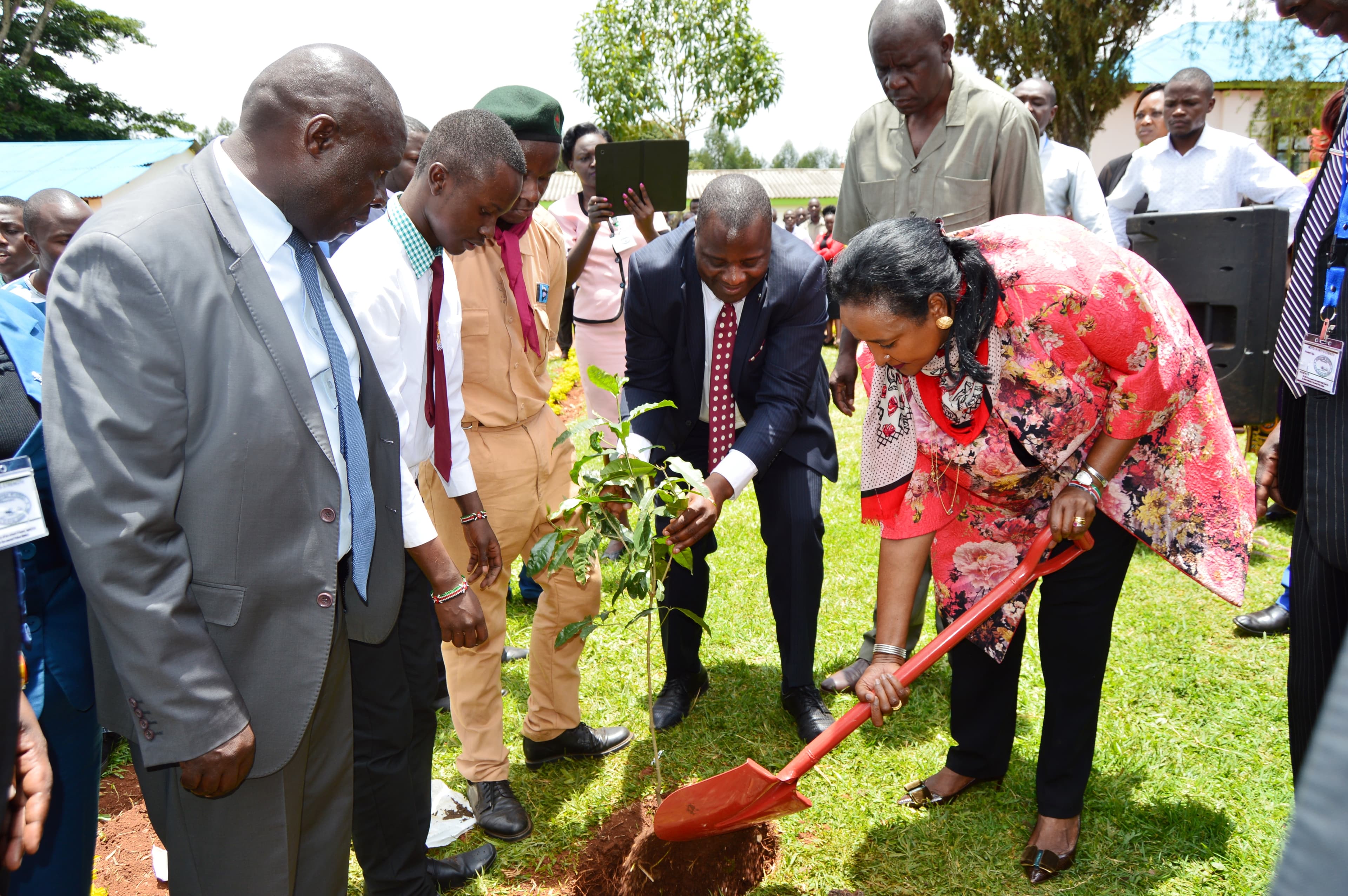 Residents urged to plant trees to tackle desertification