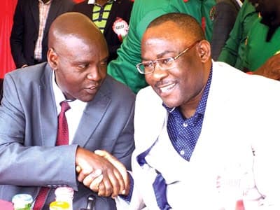 Boards to manage public primary school houses