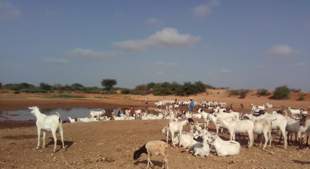 Pupils fail to report to school as Pastoralists families migrate