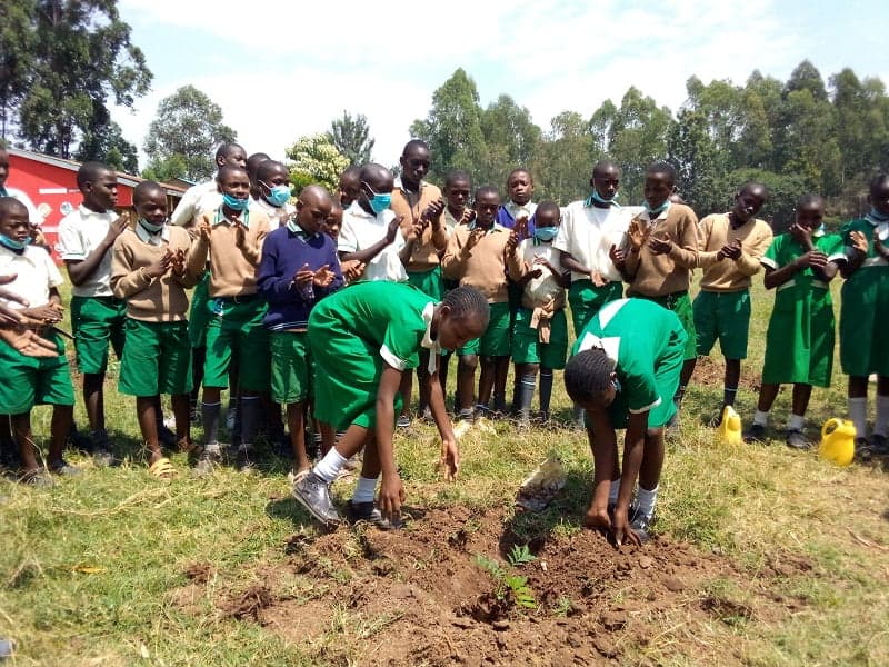 Bungoma residents urged to plant trees to avert climate change image 2