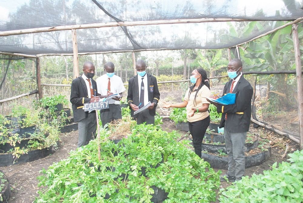 Taxation now extended to schools as KRA asks for compliance data