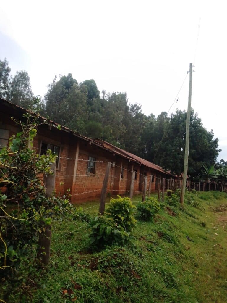 School appeals for help over their run-down facilities image 1